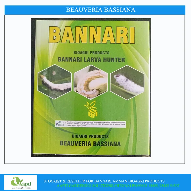 Beauveria Bassiana - 1 kg Powder