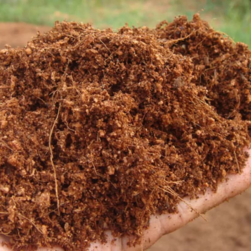 Cocopeat Loose 5 Kg