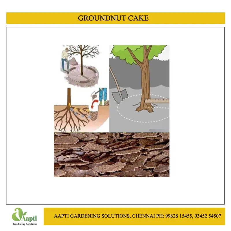 Groundnut or Peanut Cake -1 Kg