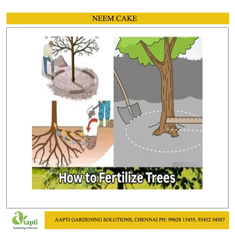 Neem Cake - 1 Kg