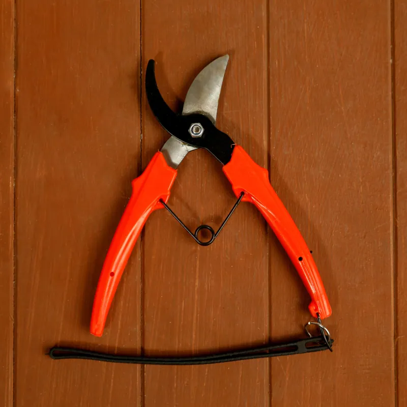 Pruning Secatures