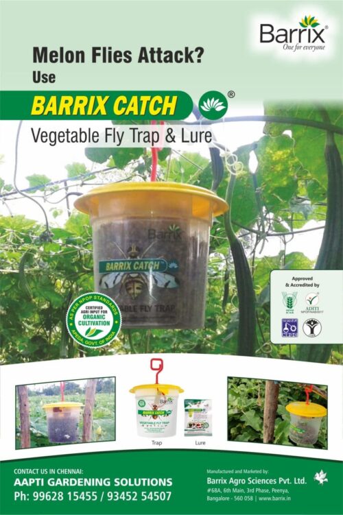 Barrix Vegetable Trap & Lure