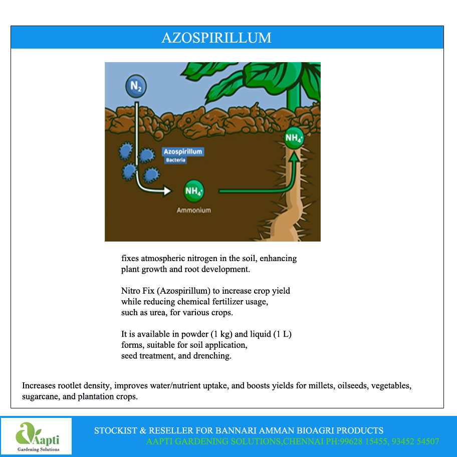 Azospirrilum - 1 kg - Powder Bannari Amman - Image 2