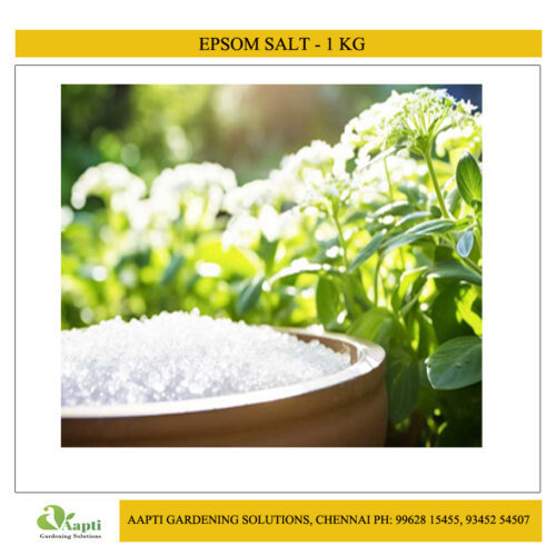 Epsom Salt - 1 kg