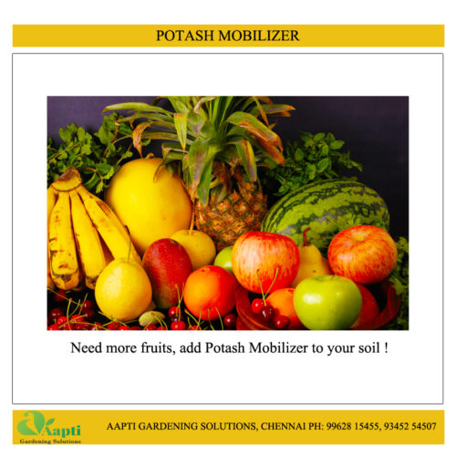 Potash Mobilizer - 1 Kg