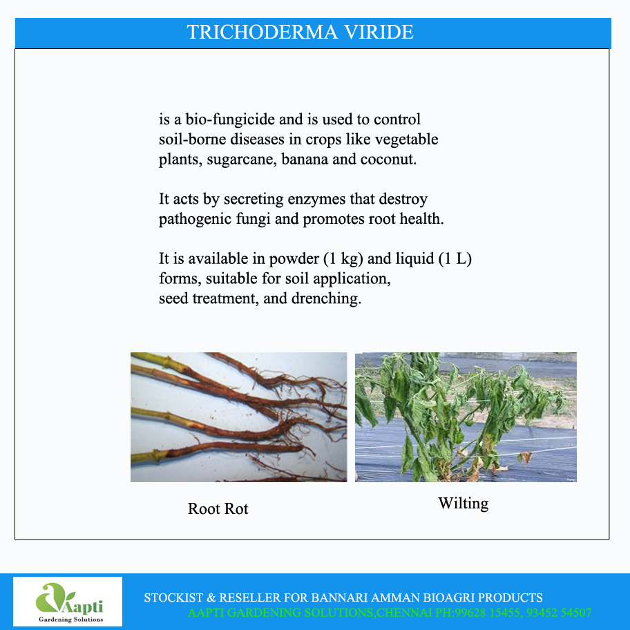 Trichoderma Powder-1 Kg - Image 2