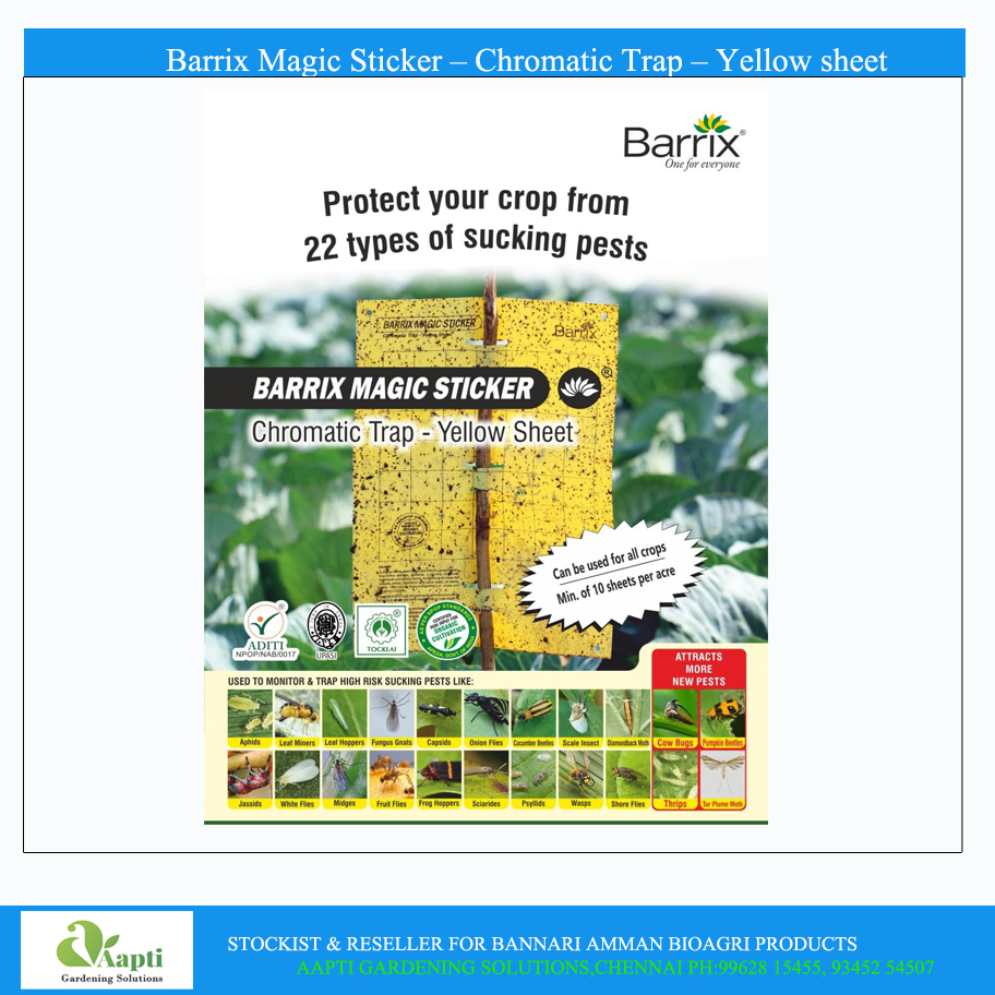 Barrix Yellow Sticky Trap ( Pack of 5)