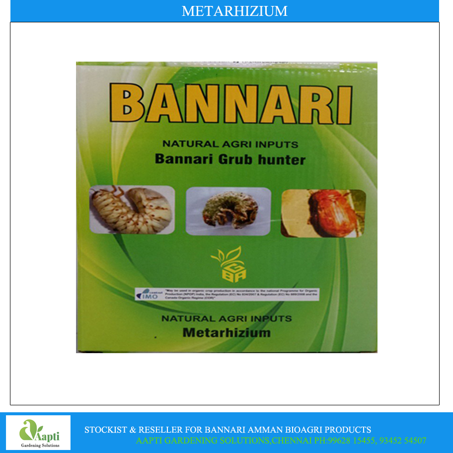 Metarhizium Anisopliae - 1 Kg - Bannari Amman