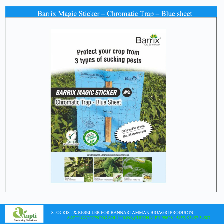 Barrix Blue Sticky Trap ( Pack of 5)