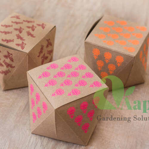 Ready to Grow Kit
