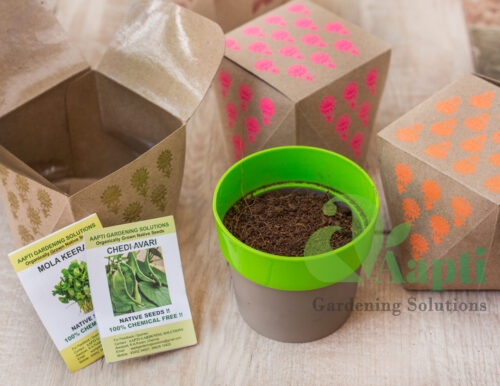 Ready to Grow Kit - Image 2